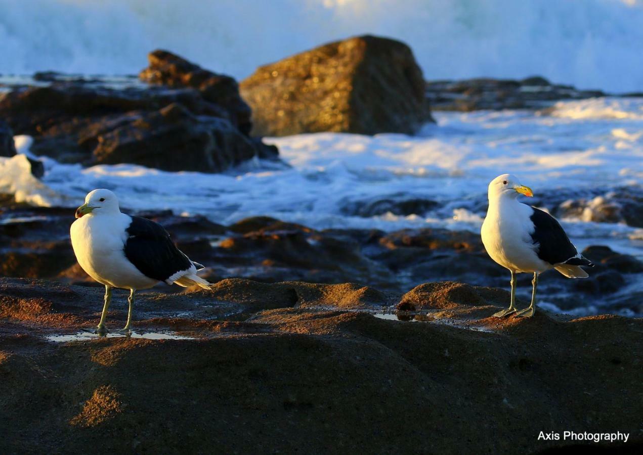 Laguna 75 Uvongo Beach Eksteriør bilde